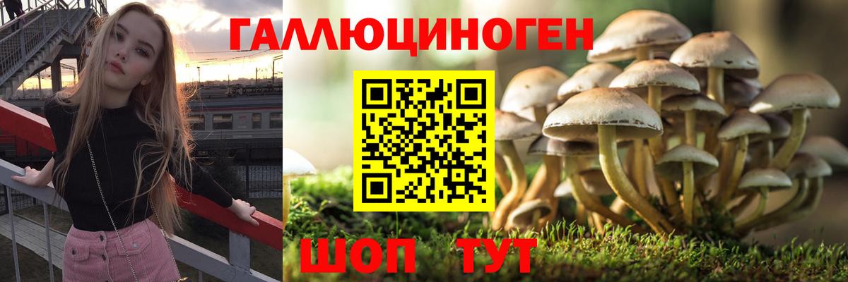 Галлюциногенные грибы прущие грибы Гулькевичи